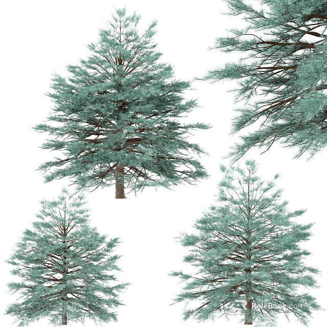 Lush Green Arbor Trees With Dense Foliage And Various Heights In Natural Scene 3d model 