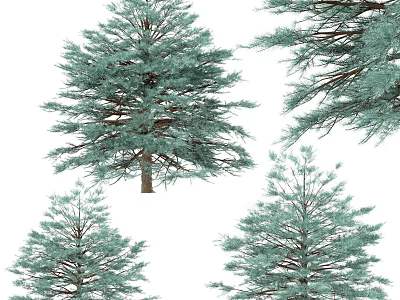 Lush Green Arbor Trees With Dense Foliage And Various Heights In Natural Scene 3d model