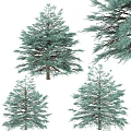 Lush Green Arbor Trees With Dense Foliage And Various Heights In Natural Scene