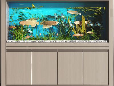 Modern fish tank into the door fish tank model