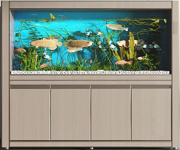 Modern fish tank into the door fish tank 3d model