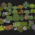 Various Types Of Shrubs Collection With Different Colors Shapes And Stones
