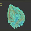Detailed Anatomical Model of Human Heart Organ with Fine Hair Structures