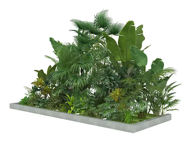 Lush Green Tropical Plants In Rectangular Concrete Planter With Large Leaves 3d model