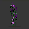 Potted Plants With Green Leaves Purple And Pink Flowers On Base