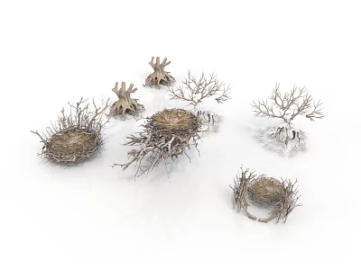 Bare Tree Structures With Intricate Roots And Bird Nests On White Background 3d model