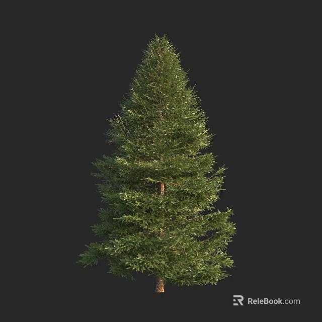 Tall Green Evergreen Tree With Lush Foliage And Natural Trunk Structure 3d model 
