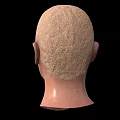 Game Film Character 3D Head Model With Bald Head And Realistic Facial Features