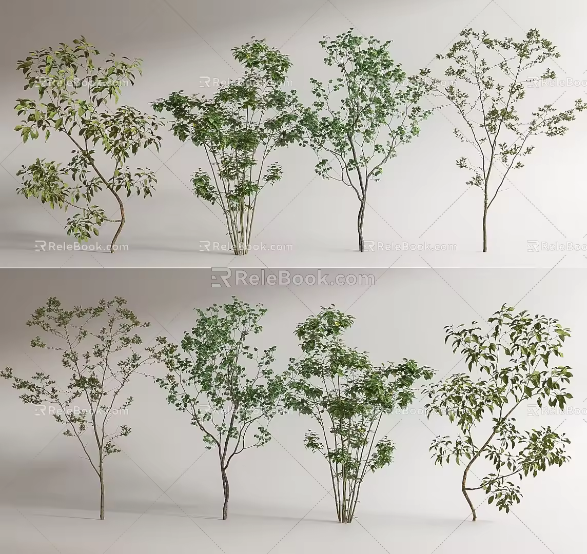 modern tree arbor landscape tree 3d model