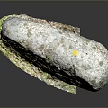Weathered Rock Surface Covered With Green Moss And Lichen Details