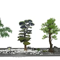 modern tree landscape tree arbor 3d model