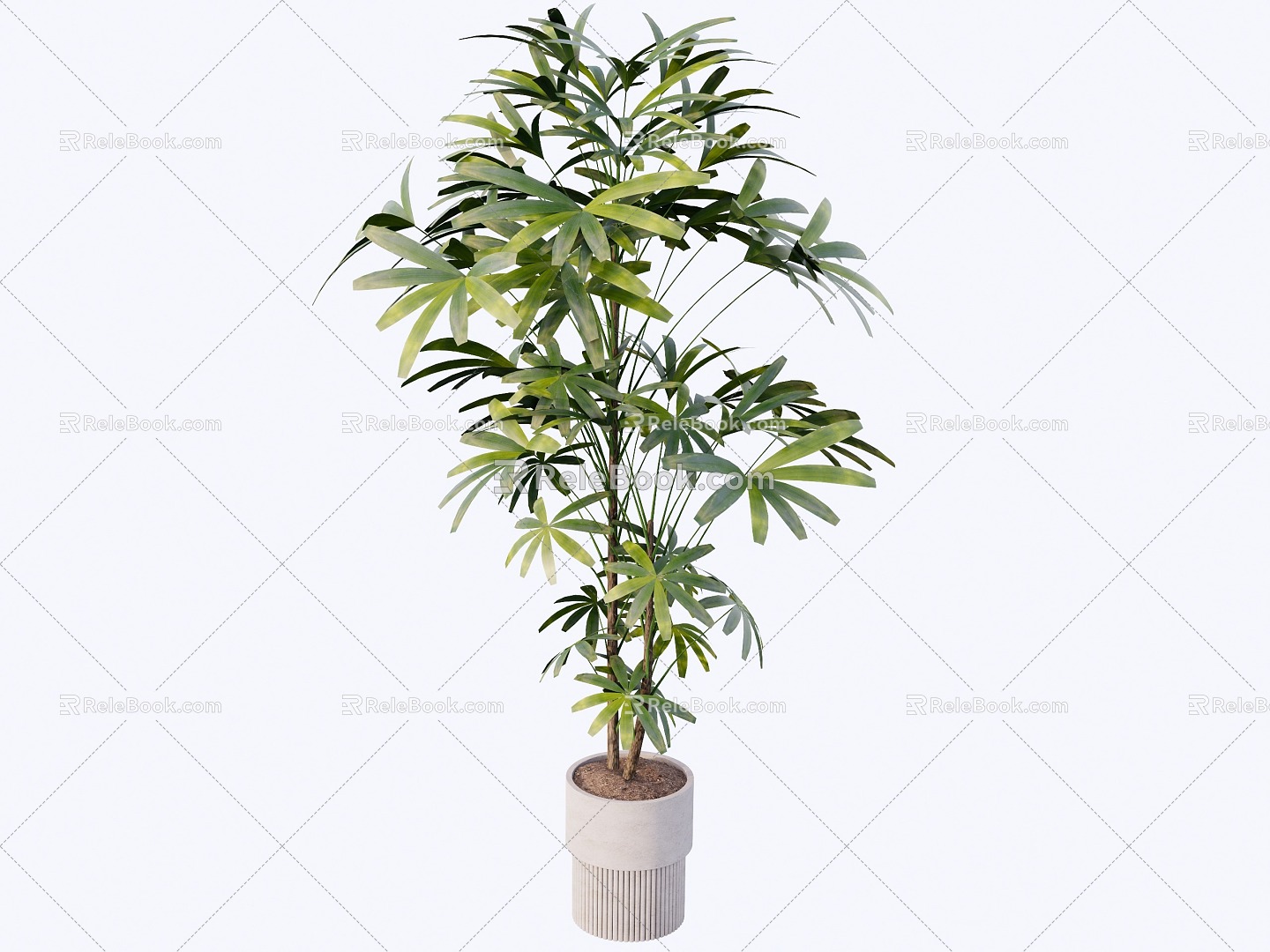 indoor potted plant 3d model