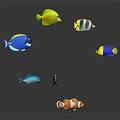 Colorful Tropical Fish Swimming With Vibrant Colors Different Species And Patterns