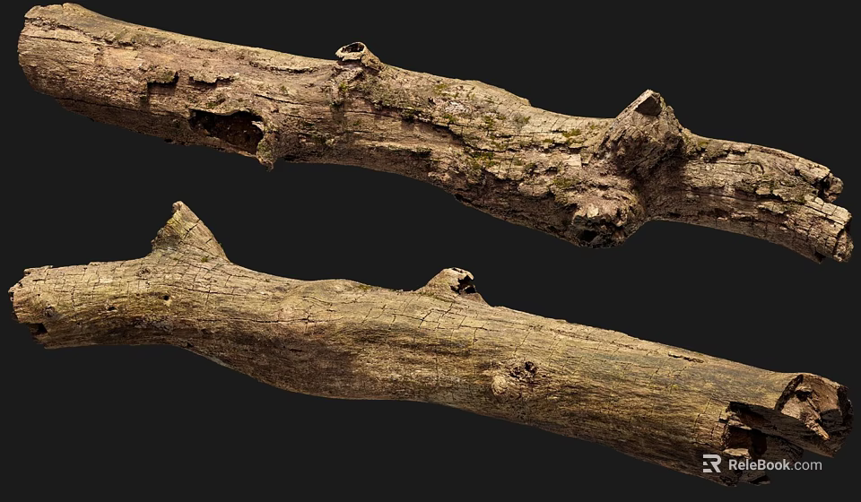 Natural Wood Branches With Bark Texture And Tree Knots Organic Details 3d model 