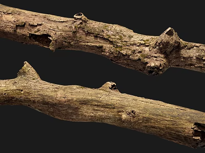 Natural Wood Branches With Bark Texture And Tree Knots Organic Details 3d model