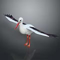White Stork With Black Wings Red Beak And Spread Wings On Gray Background