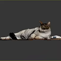 Relaxed Cat Lying On Wooden Mat With Computer Keyboard And Mouse 3d model