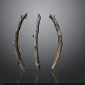 Curved Plant Branches With Different Colored Textures On Grey Background And Bottom Reflection