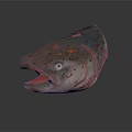 Realistic 3D Model of Salmon Head With Open Mouth And Red Spots