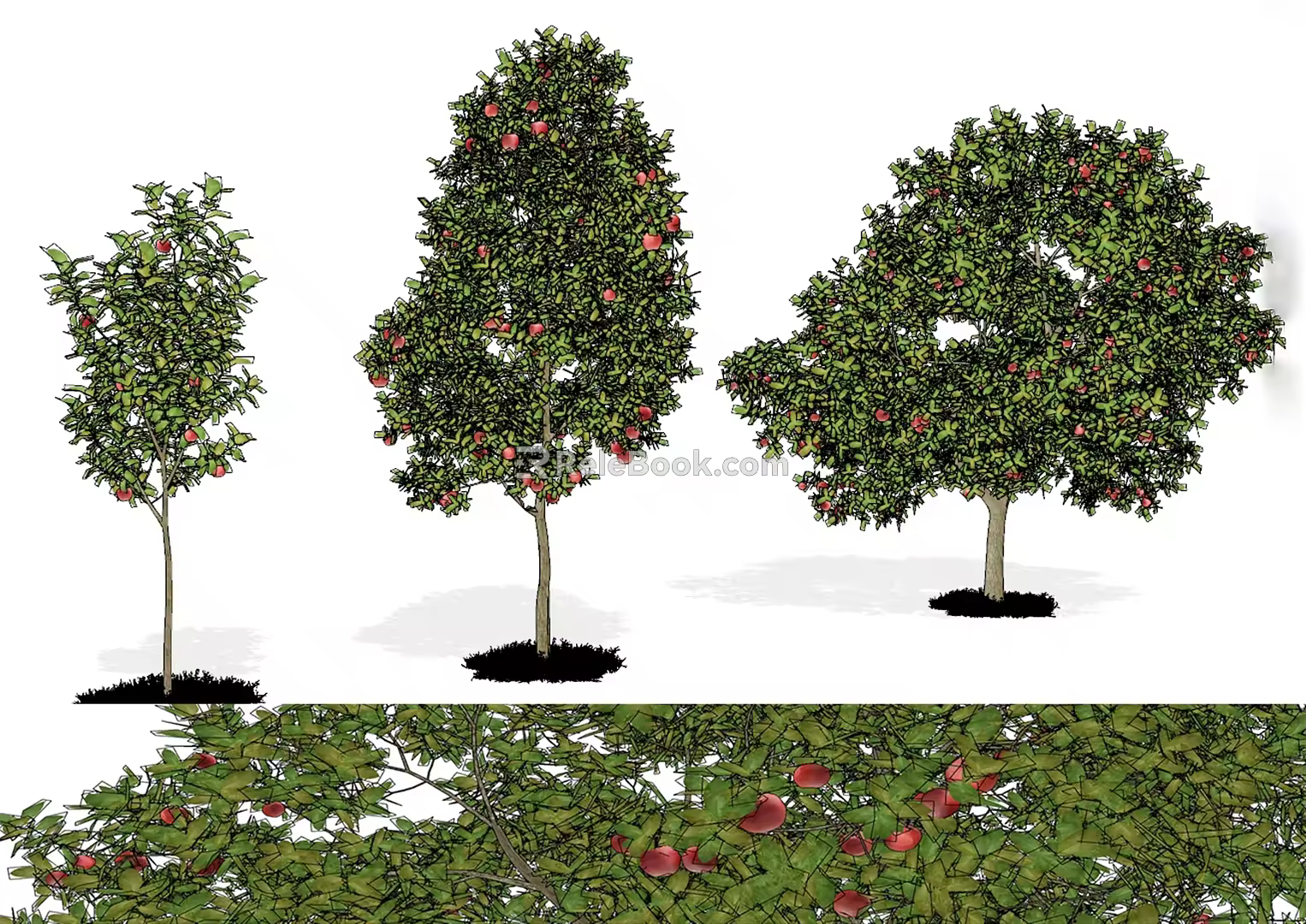 Modern Apple Tree Apple Tree Fruit Tree 3d model