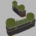 Bonsai Potted Plants in Black Brown Planters with Golden Borders Featuring Round Shrubs and Greenery