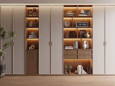 Modern Bookcase Interior With LED Lighting And Decorative Storage Shelves 3d model