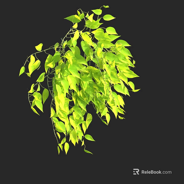 Lush Hanging Green Plant With Vibrant Yellow Green Leaves And Long Vines 3d model 