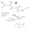 SATTLER AXVENI Pendant9 Modern Branching Design Pendant Light for Interior Spaces