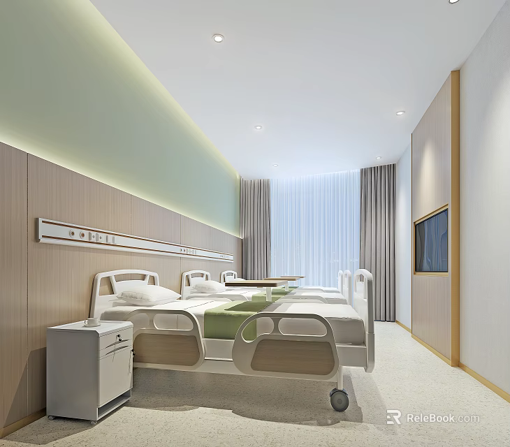Modern Hospital Outpatient Ward With Two Beds Green Wall Decor Wooden Panels TV And Curtains 3d model 