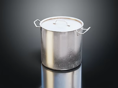 Shiny Stainless Steel Cooking Pot With Lid And Two Side Handles 3d model
