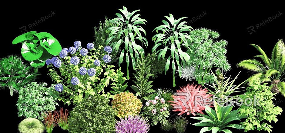 flowers, shrubs, landscape plants, plant combinations, flower combinations model