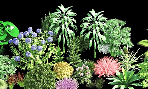 flowers, shrubs, landscape plants, plant combinations, flower combinations 3d model