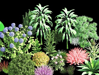 flowers, shrubs, landscape plants, plant combinations, flower combinations 3d model