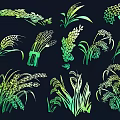 Various Green Yellow Gradient Grain Herb Plant Design Illustrations Collection 3d model