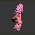 Medical Device 3D Anatomical Lung Structure for Medical Education Pink Branched with Spherical Parts