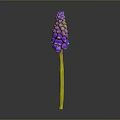 Vibrant Purple And Yellow Edible Flowers For Healthy Food Dishes