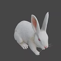 White Rabbit 3D Model in Sitting Pose with Long Ears and Red Eyes