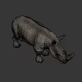 Highly Detailed 3D Rhinoceros Model With Realistic Texture And Gray Background