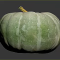 Fresh Green and White Pumpkin with Yellow Stem on Gray Background