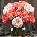 Stunning Pink And White Flower Blooms In Clear Glass Vase For Home Decor
