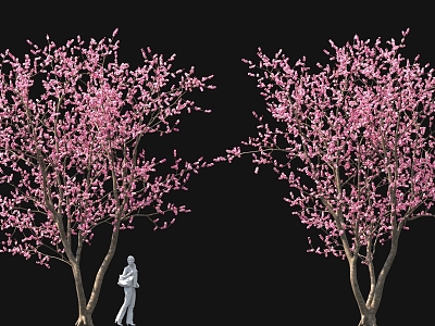 Cluster peach blossom tree cherry blossom tree pool bonsai sketch ancient tree street tree model