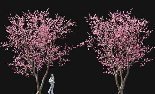 Cluster peach blossom tree cherry blossom tree pool bonsai sketch ancient tree street tree 3d model