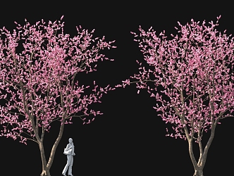 Cluster peach blossom tree cherry blossom tree pool bonsai sketch ancient tree street tree 3d model