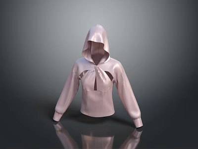 Fashionable Hooded Pink Top With Cutout Front Design And Long Sleeves Modern Minimalist Style 3d model