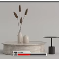 Round Textured Stone Coffee Table with White Vase Dried Pampas Grass and Black Side Table