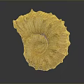 Chi chrysanthemum stone ancient fossil stone chrysanthemum fossil items 3d model