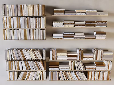 Neatly Arranged Books And Magazines On Multiple Wooden Bookshelves 3d model