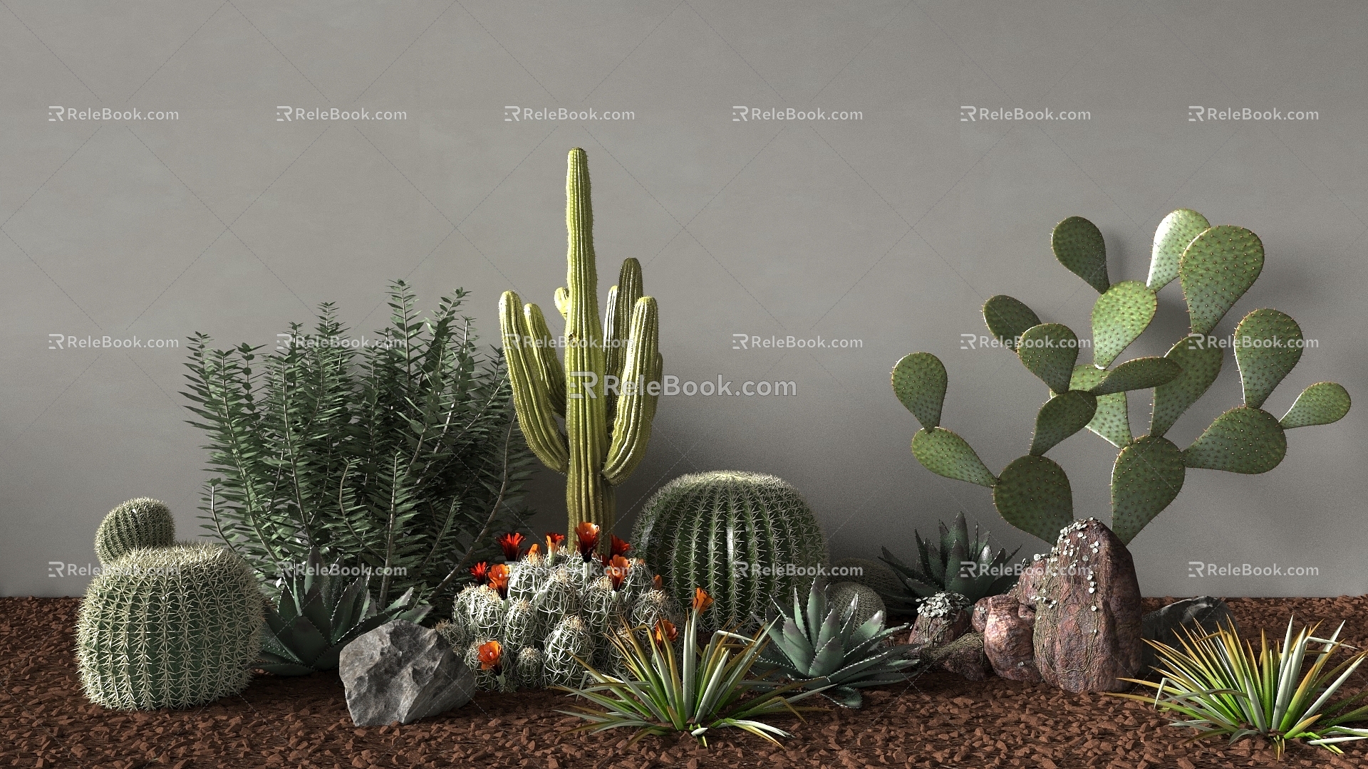 Plant Cactus Plant Landscape 3d model