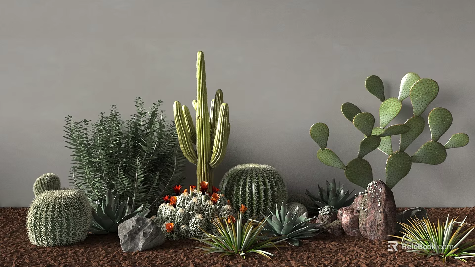 Shrubs Surrounded by Cactus Succulent Plants and Rocks on Brown Mulch Gray Wall Background 3d model 