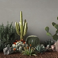 Plant Cactus Plant Landscape 3d model